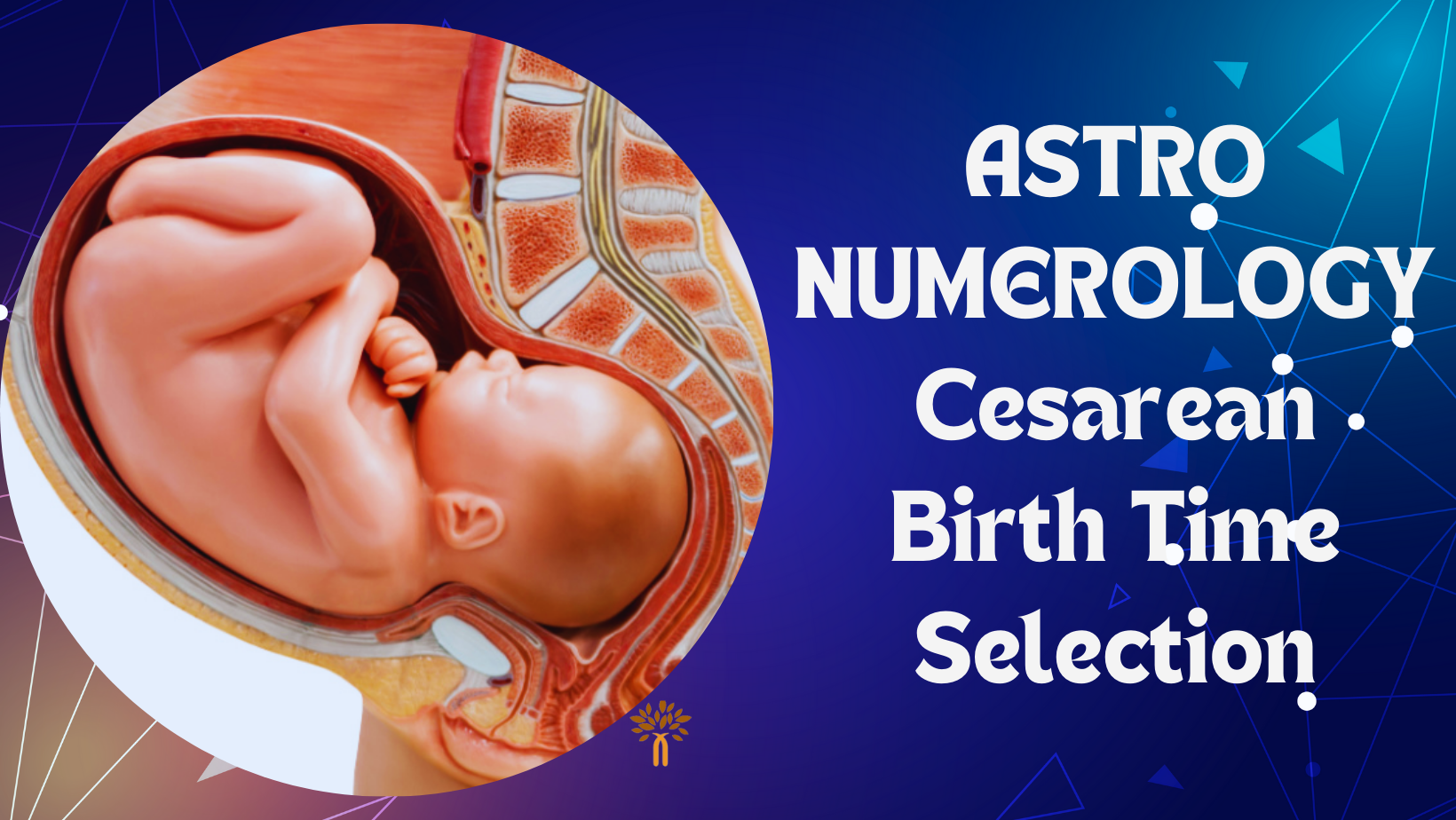 Astro Numerology - Cesarean Birth Time Selection in Mumbai