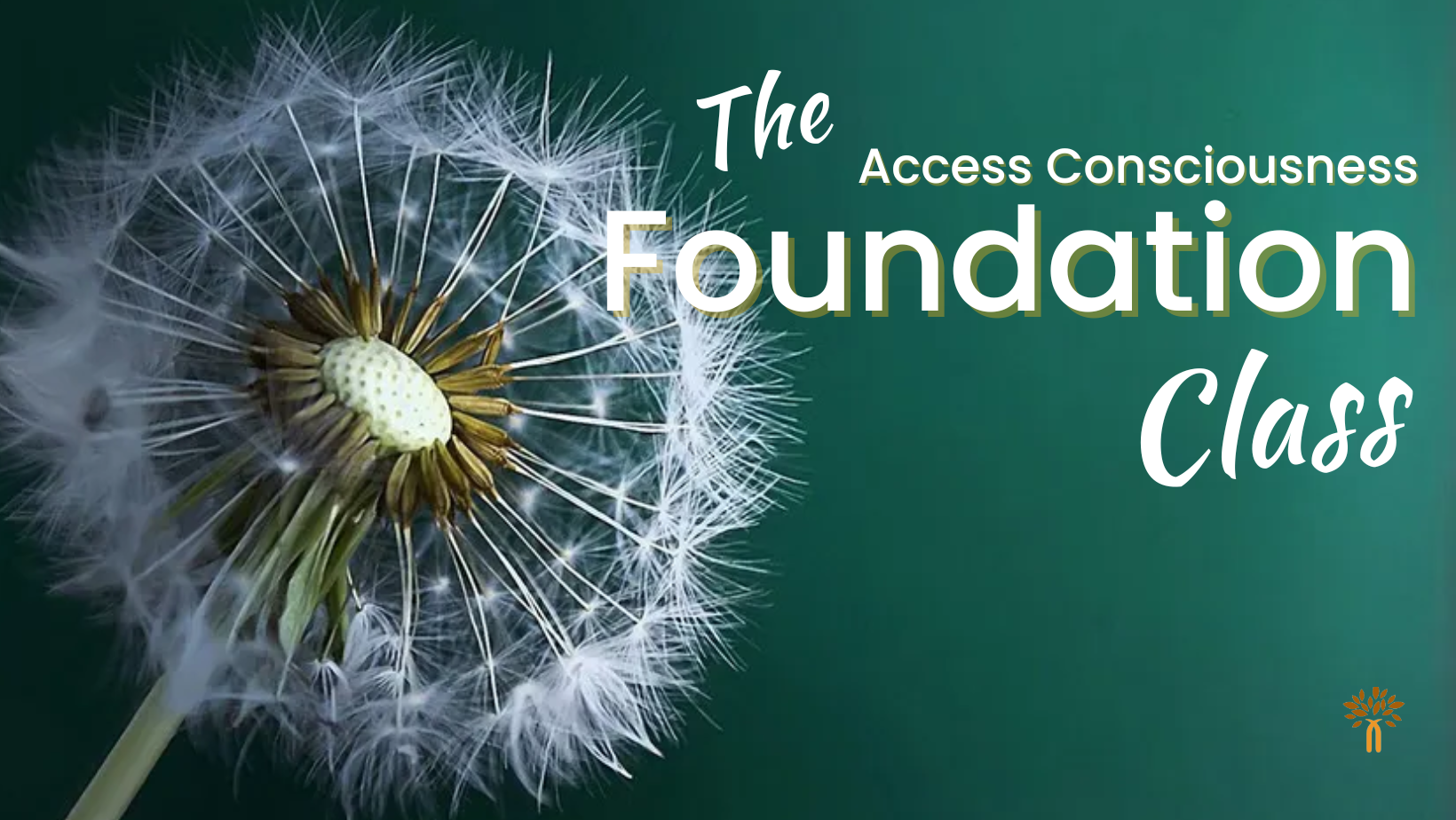 Access Consciousness Foundation in Mumbai