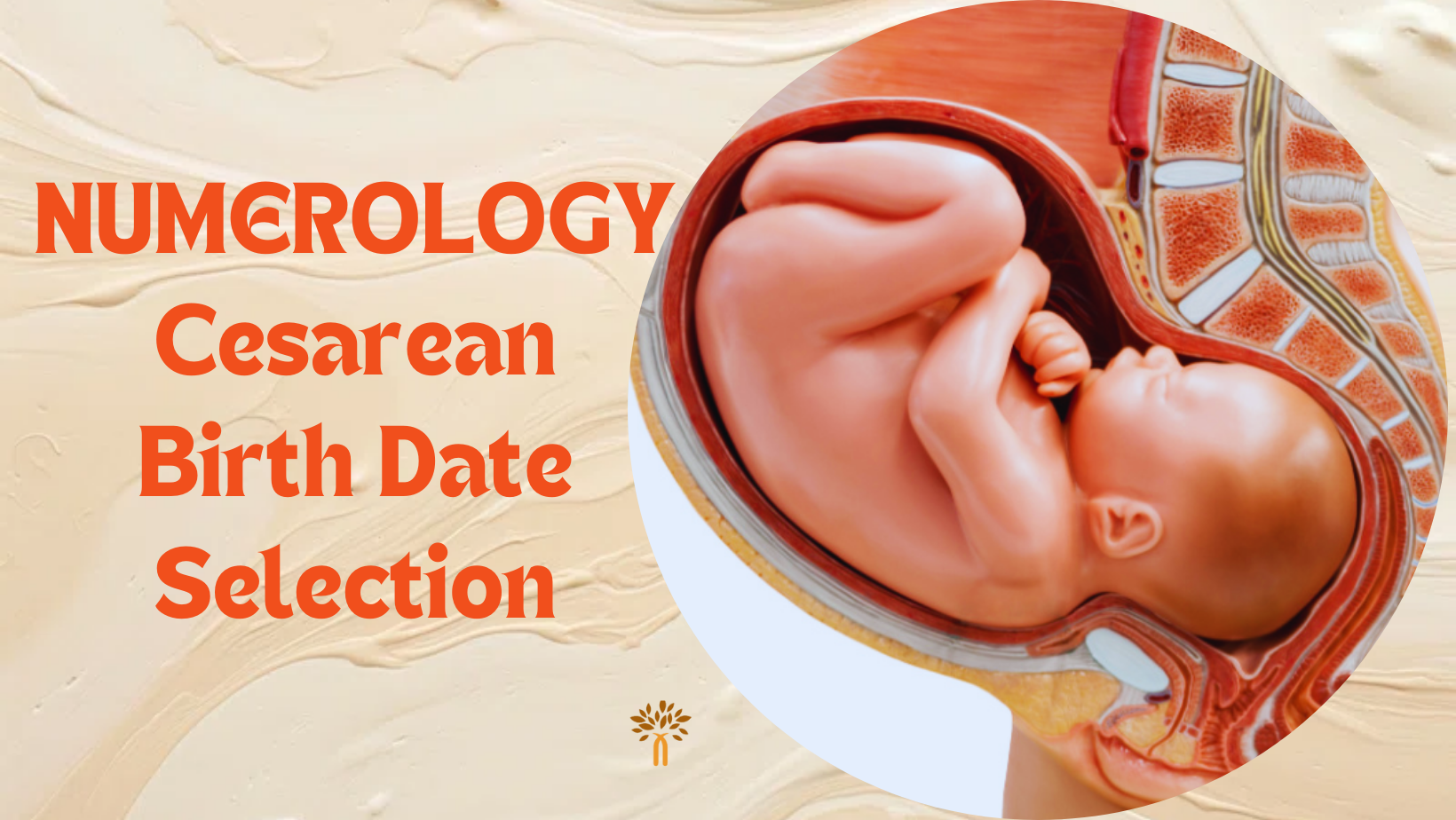 Numerology Cesarean Birth Date Selection in Mumbai