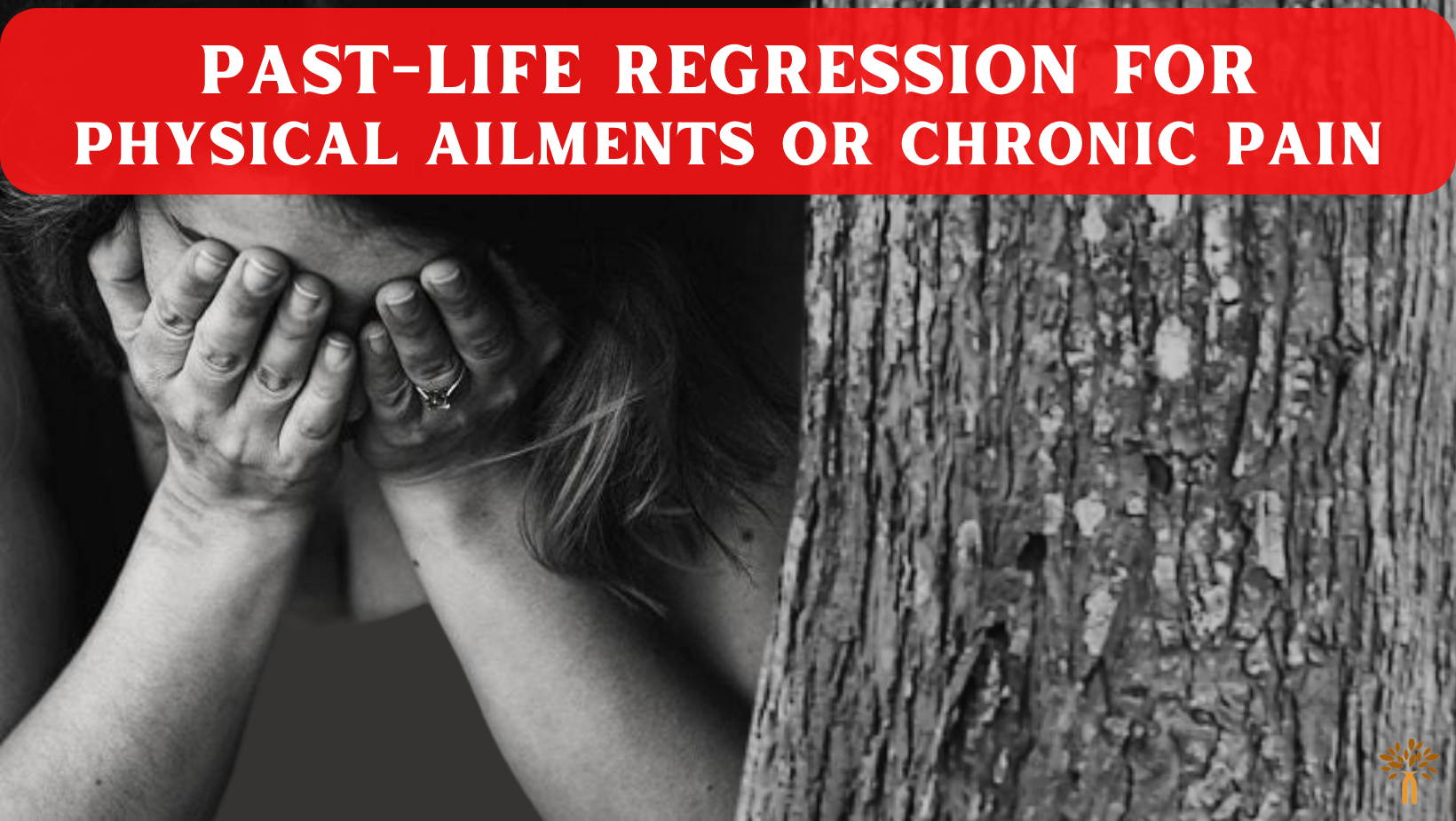 Past Life Regression in Basavanagudi